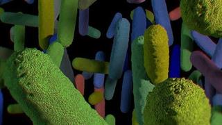 Η χρήση αντιμικροβιακών ουσιών