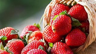 Φράουλες κατά της φλεγμονής στο παχύ έντερο;