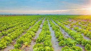 Λιγότερο θρεπτικές σοδειές λόγω κλιματικής αλλαγής;