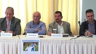 Μυοσκελετική Υγεία και Ψυχική Υγεία