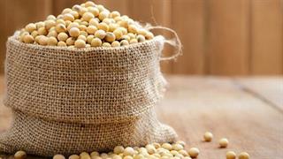 Πρωτεϊνη σόγιας: καλή ή κακή;