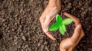 Δεν παράγουμε αρκετά φρούτα και λαχανικά στον πλανήτη