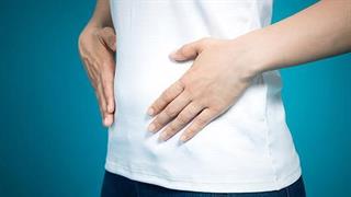 Αυτισμός και σχέση με μικροβίωμα εντέρου, προβιοτικά και πρεβιοτικά