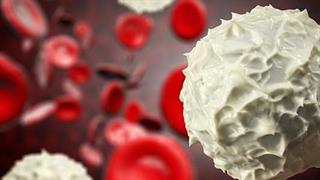Μεταμόσχευση αρχέγονων αιμοποιητικών κύτταρων