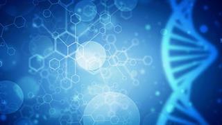 Βιοεπιστήμες και βιοτεχνολογία στη μάχη κατά του καρκίνου