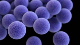 700.000 άνθρωποι πεθαίνουν κάθε χρόνο από βακτηριακές λοιμώξεις