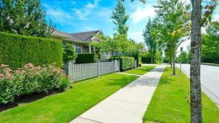 Γειτονιές με πράσινους χώρους συνδέονται με προστασία από καρδιοπάθειες