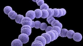 Γρήγορη διάγνωση στο Hadassah έσωσε τη ζωή μωρού από στρεπτόκοκκο