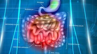 Νέο γαστρεντερολογικό ενδοσκοπικό τμήμα κλινικής Ρέα