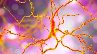 Σε Δημόσια Διαβούλευση το Σχέδιο Νόμου για την Ακούσια Ψυχιατρική Περίθαλψη