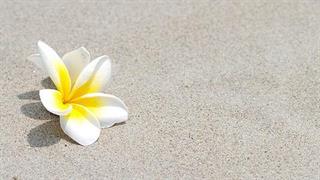 Αρνητικές προσωπικές εμπειρίες δίνουν νόημα στη ζωή