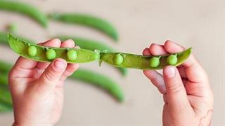 Επενδύσεις και έμφαση στις διεθνείς αγορές από την «Μπάρμπα Στάθης»