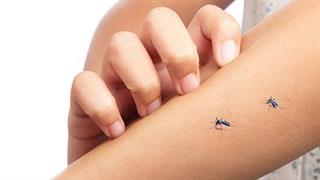 ΕΟΔΥ: Προφυλαχθείτε από τα κουνούπια και τον ιό του Δυτικού Νείλου