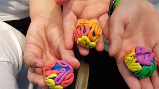 Τα μυστήρια του ανθρώπινου εγκεφάλου αποκαλύπτονται στο ΚΠΙΣΝ