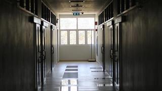 Έντομα που μπαίνουν στα νοσοκομεία φέρουν βακτήρια που μπορούν να  προκαλέσουν λοίμωξη σε ασθενείς