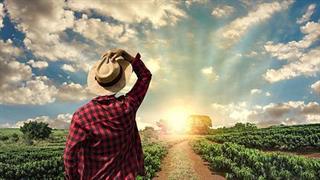 Bayer και AlphaBio Control: Συμφωνία διανομής για καινοτόμο προϊόν ελέγχου των εντόμων με εναλλακτικό τρόπο δράσης 