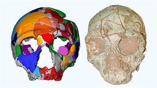 Στην Ελλάδα το παλαιότερο δείγμα του Homo sapiens της Ευρασίας