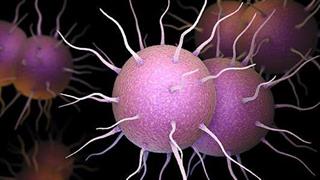 Βρέθηκε τρόπος πρόληψης της λοίμωξης από γονόρροια;