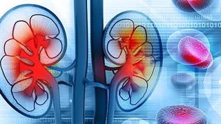 Κλιματική αλλαγή: Υψηλότερος κίνδυνος νοσηλείας για τους νεφροπαθείς τις πολύ ζεστές ημέρες