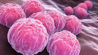 Δοκιμάζεται εμβόλιο για τα χλαμύδια