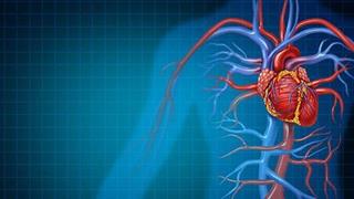 Σωτήρια η έγκαιρη διάγνωση στις παθήσεις της αορτής