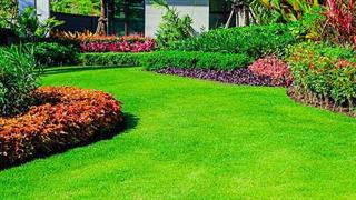 Χώροι πρασίνου κοντά σε κατοικίες μειώνουν την πρόωρη θνησιμότητα