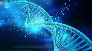 Ημερίδα για το DNA