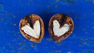 Καρύδια και επιβράδυνση νοητικής εξασθένησης στους ηλικιωμένους