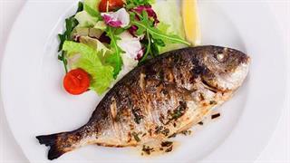 ICAP: ''Ανεβαίνει'' ο κλάδος των ιχθυοκαλλιεργειών