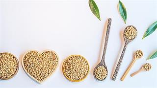 Οι καλύτερες πηγές σιδήρου για χορτοφάγους