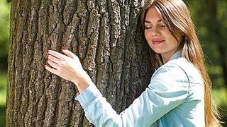 Ισλανδία: Η δασική υπηρεσία ενθαρρύνει τους έγκλειστους πολίτες να αγκαλιάζουν δέντρα