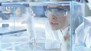 Πειραματόζωα θανατώνονται χωρίς επιστημονική χρήση σε γερμανικά ερευνητικά κέντρα