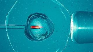 Οδηγίες για τις Mονάδες Ιατρικώς Υποβοηθούμενης Αναπαραγωγής εν μέσω πανδημίας Covid-19