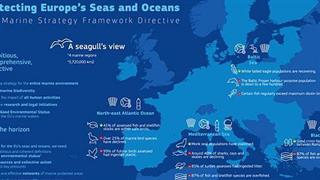 Ρύπανση θαλασσών και ωκεανών από πλαστικά και χημικά