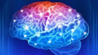 Alzheimer: Το λεμφικό σύστημα στις μήνιγγες παίζει σημαντικό ρόλο στη νόσο