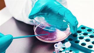 Η Pfizer στην καταπολέμηση της Μικροβιακής Αντοχής