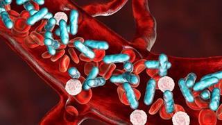 Βιταμίνες και στεροειδή δεν προστατεύουν τα όργανα κατά την σήψη