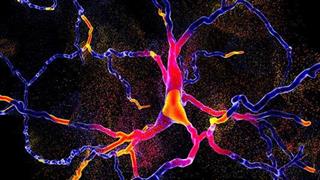 Οι ασθενείς με Πάρκινσον κινδυνεύουν ιδιαίτερα από τον κορωνοϊό