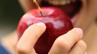 Οι καλύτερες τροφές για τους πνεύμονες