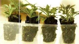 Στις 31 Οκτωβρίου 2020 η προθεσμία υποβολής στο πρόγραμμα χρηματοδότησης Grants4Ag