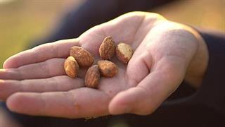 Οι ξηροί καρποί ωφελούν το σπέρμα