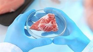 Κοτόπουλο εργαστηρίου θα αρχίσει να πωλείται στη Σιγκαπούρη