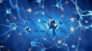 7ο πανελλήνιο συνέδριο νευροανοσολογίας