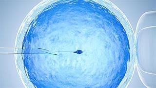 Εφικτή είναι η εξωσωματική ακόμη και στην περίοδο της πανδημία του κορωνοϊού