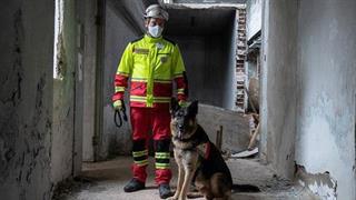 Επανεκκίνηση της κυνοφιλικής ομάδας έρευνας και διάσωσης του Ελληνικού Ερυθρού Σταυρού