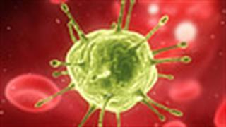 HPV: Ο ιός των ανθρώπινων κονδυλωμάτων