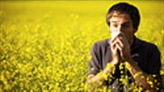 Εποχικές αλλεργίες