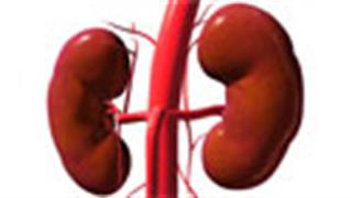 Αλματώδης η αύξηση της Χρόνιας Νεφρικής Νόσου