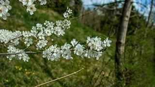 Οδηγίες προφύλαξης από τις αλλεργίες