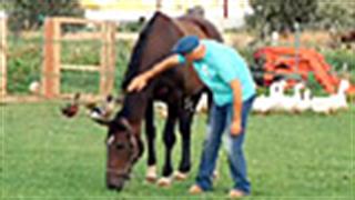 Τα άλογα που διαβάζουν την ψυχή μας